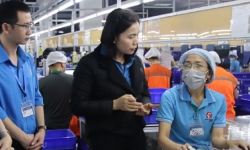 Thái Bình: Tạo việc làm cho 15.400 lao động trong 5 tháng đầu năm 2024