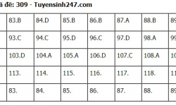 Đáp án đề thi tốt nghiệp THPT 2024 môn Giáo dục công dân, mã đề 309 (tham khảo)