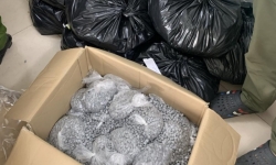 Thu giữ 179 kg ma túy được vận chuyển từ Đức về Việt Nam qua sân bay quốc tế Nội Bài