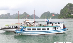 Đề xuất thu phí tham quan vịnh Hạ Long 600.000 đồng/du khách