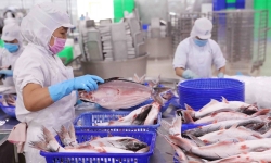 Vĩnh Hoàn (VHC) doanh thu tháng 6 tăng 22%, sản phẩm chủ lực cá tra không tăng trưởng