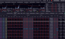 VN-Index 'bốc hơi' gần 50 điểm, nhà đầu tư hoảng hốt