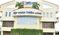 Bút bi Thiên Long (TLG) trả cổ tức 10%, công ty của Chủ tịch Cô Gia Thọ thu về 37 tỷ đồng cổ tức