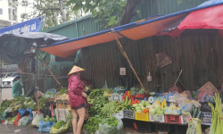 Hà Nội: Hết cảnh 'vét' sạch chợ, hàng hoá dồi dào, giá rau tăng mạnh trước giờ bão đổ bộ