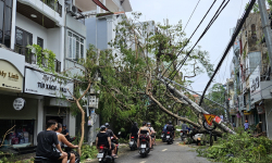 Hải Phòng thiệt hại nặng nề do bão số 3