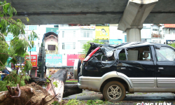 Hà Nội: Hàng loạt ô tô bị cây xanh 'đè bẹp' sau bão số 3