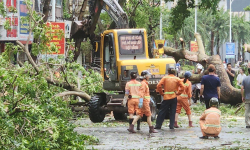 Hải Phòng: Cây cối gãy đổ, nước vẫn chưa rút tại một vài tuyến phố