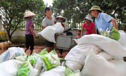 Gạo Việt 'thăng hoa', xuất khẩu nông sản vượt chỉ tiêu