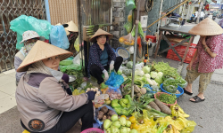 Hải Phòng chỉ đạo xử lý nghiêm việc găm hàng, tăng giá sau bão số 3