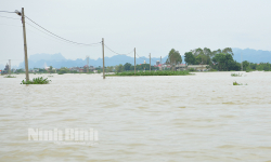 Lũ trên sông Hoàng Long và sông Đáy đang xuống, Ninh Bình dừng thực hiện Lệnh di dân