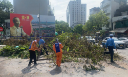 Hà Nội: Tập trung xử lý cây xanh gãy đổ, bảo đảm an toàn giao thông