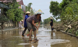 Nhịp sống đang trở lại bình thường ở các xã vùng bãi sông Hồng