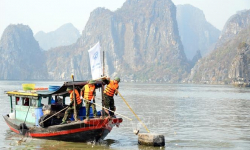 Quảng Ninh ra quân chiến dịch '3 ngày làm sạch Vịnh Hạ Long' sau bão số 3