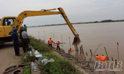 Thái Bình: Kịp thời xử lý sự cố sạt lở kè đê bối cửa sông tả Hồng Hà