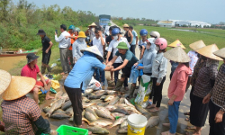 Bắc Ninh: 32 Dự án Phụ nữ khởi nghiệp bị ảnh hưởng bởi bão lụt, thiệt hại ước tính gần 27 tỷ đồng