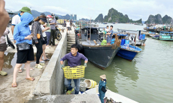 ADB: Việt Nam đã nỗ lực phi thường trong việc ứng phó với thiệt hại do bão Yagi gây ra