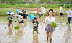 Khi nông thôn trở thành “viện dưỡng lão” của giới trẻ Trung Quốc