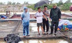 Bắc Ninh: Khẩn trương thực hiện các giải pháp khôi phục sản xuất chăn nuôi, thủy sản sau bão