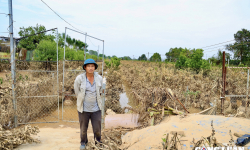 Người trồng đào, quất ở Tây Hồ chịu thiệt hại 64 tỷ đồng, kiến nghị cơ chế hỗ trợ đặc thù