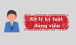 Bộ Chính trị xem xét, thi hành kỷ luật tổ chức đảng, đảng viên có vi phạm, khuyết điểm