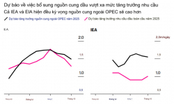 Tại sao các nhà giao dịch dầu mỏ trở nên bi quan về năm 2025?