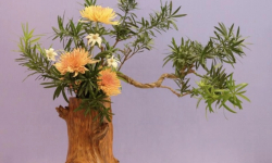 Triển lãm nghệ thuật cắm hoa Nhật Bản Ikebana tại Hà Nội