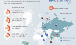 Tiền tệ kỹ thuật số mới của BRICS: Một thách thức đối với đồng đô la?