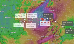 Hướng dẫn theo dõi đường đi của bão Trà Mi trên điện thoại