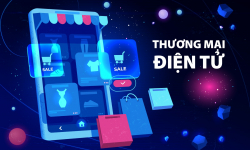 Cú sốc Temu và sự trưởng thành của doanh nghiệp Việt