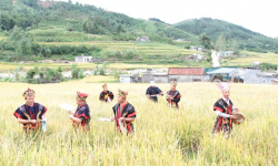 Quảng Ninh: Đặc sắc Hội mùa vàng trên bản làng Đông Bắc