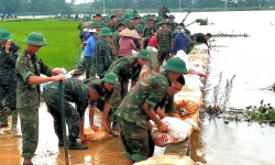 Thủ tướng Chính phủ phân công hai Bộ chủ trì soạn thảo 2 dự án luật