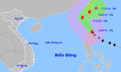 Ứng phó với bão Usagi: Quảng Ninh đến Bình Định phải thông báo tàu thuyền không đi vào vùng nguy hiểm