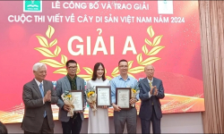 Trao giải cho 25 tác phẩm tại Cuộc thi viết về cây di sản Việt Nam - năm 2024