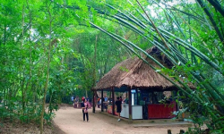 Hoàn thiện hồ sơ đề nghị UNESCO công nhận địa đạo Củ Chi là Di sản Thế giới