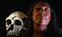 Tiết lộ khuôn mặt của người phụ nữ Neanderthal 75.000 năm trước