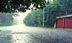 Dự báo thời tiết (31/7): Tây Nguyên, Nam Trung bộ và Nam Bộ mưa lớn