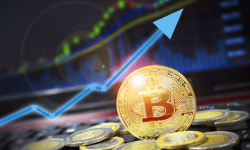 Giá bitcoin 7/12: Bitcoin tăng nhẹ, trong khi nhiều đồng tiền giảm giá nhẹ