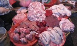 Dự thảo luật Chăn nuôi: Cấm nhập khẩu nội tạng động vật vào Việt Nam