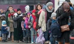 Số người xin tị nạn mới tại Đức đã giảm mạnh trong năm 2017