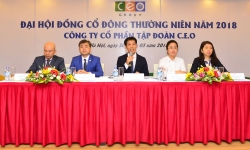 Tập đoàn CEO đặt mục tiêu lọt top 250 doanh nghiệp tư nhân lớn nhất Việt Nam