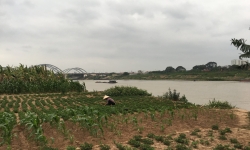  Đông Anh (Hà Nội): 'Cát tặc' ngang nhiên đục khoét sông Đuống