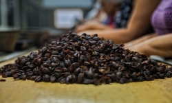 Giá vỏ cà phê đắt hơn 480% giá hạt cà phê