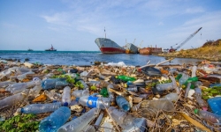Đồ nhựa dùng một lần sẽ bị cấm cửa tại EU