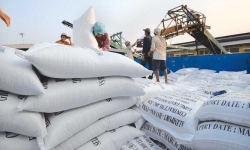  Xuất khẩu 50 nghìn tấn gạo sang Hàn Quốc