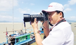 Hành trình đi tìm “Đường đi của cát Việt ra nước ngoài”