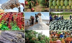 Doanh nghiệp xuất khẩu nông sản: Cần chìa khóa mở hướng đi 