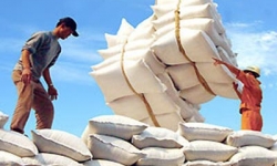 Nông nghiệp Việt Nam hướng đến mục tiêu xuất khẩu 40 tỷ USD năm 2018
