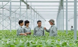 Nguồn vốn cho nông nghiệp công nghệ cao: Cửa đã mở? 