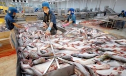 Xuất khẩu thủy sản của Việt Nam sẽ bứt phá sau khi thị trường Trung Quốc giảm thuế? 