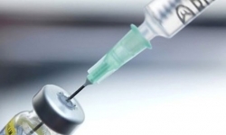 Bộ Y tế yêu cầu dự trữ đủ vắc xin phòng bệnh dại